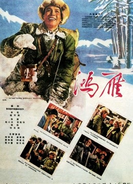 鸿雁1960