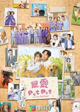 宠爱Pet Pet国语版